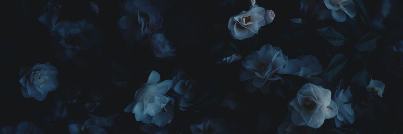 🪷's banner
