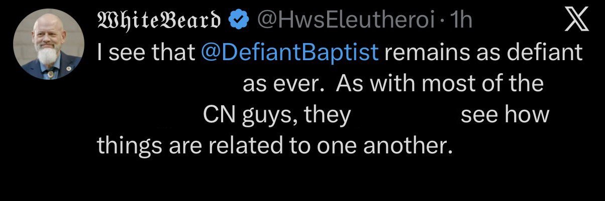 Defiant Baptist's banner