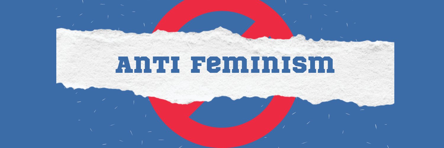 stu feminists's banner