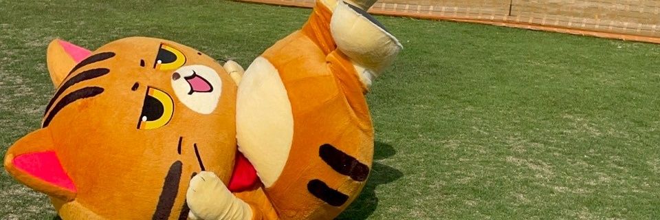 専業主夫の社長ギブジュン🐱高菜先生の生みの親's banner