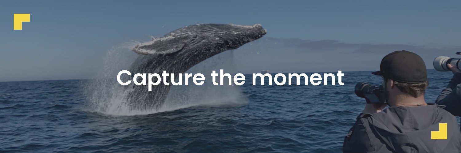 Newsflare's banner
