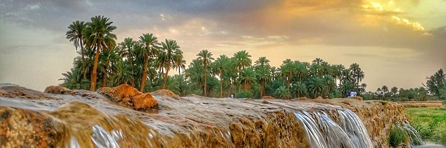 احمد السليمان _ المجمعة's banner