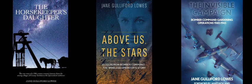 Jane Gulliford Lowes's banner