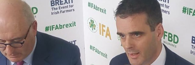 Joe Healy's banner