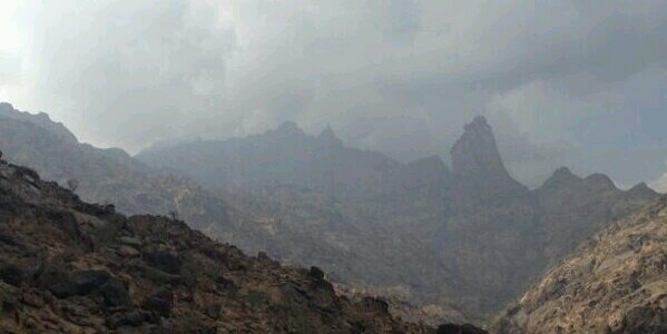قبيلة الاحامدةمن حرب's banner