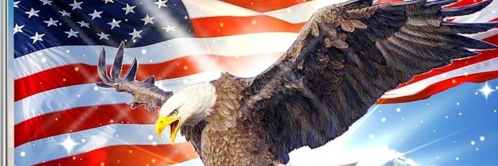 🇺🇸Steve | OG MAGA🇺🇸's banner