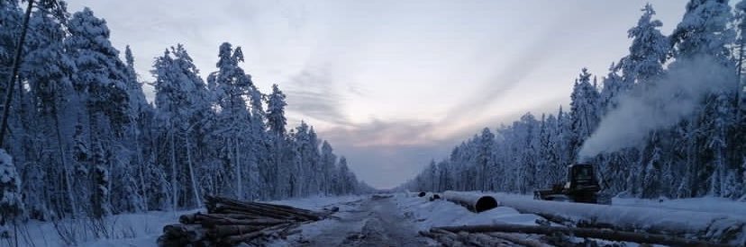 Надежда Михайлова's banner