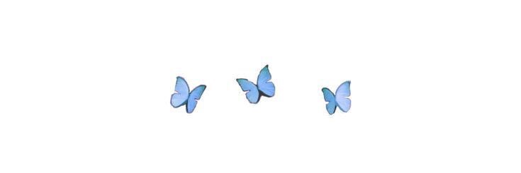 anne ✰'s banner