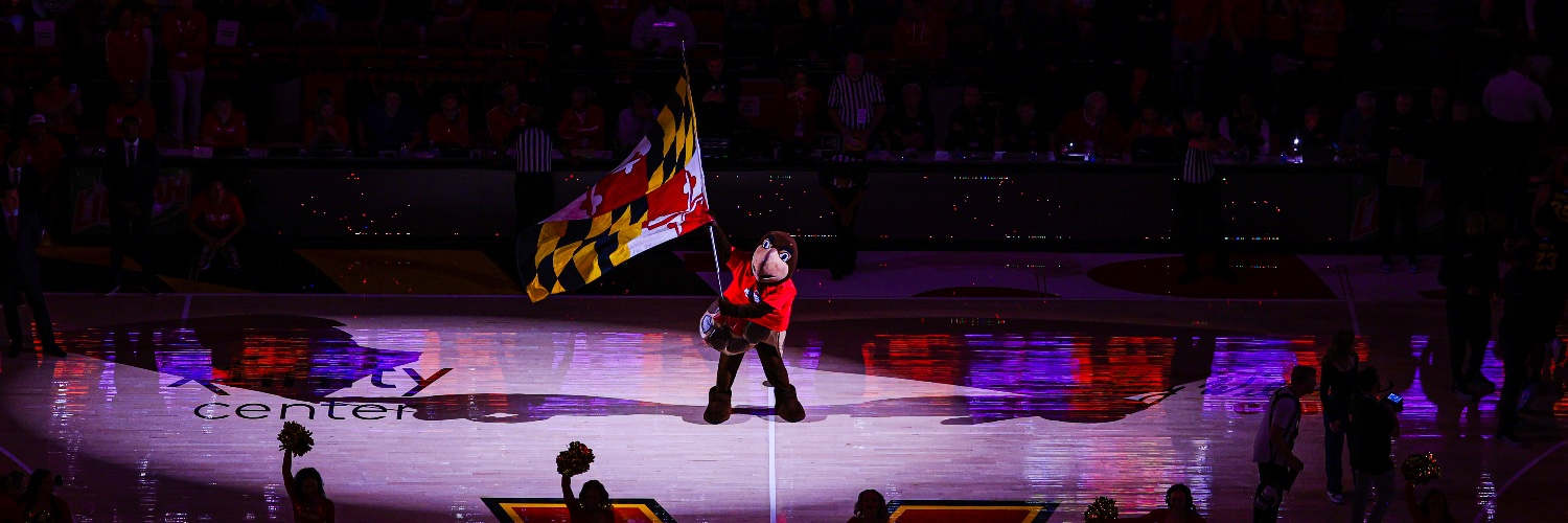 Testudo's banner