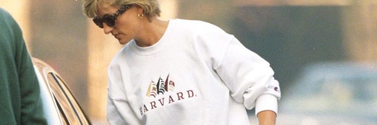 maybe: diane 𐚁₊⊹'s banner