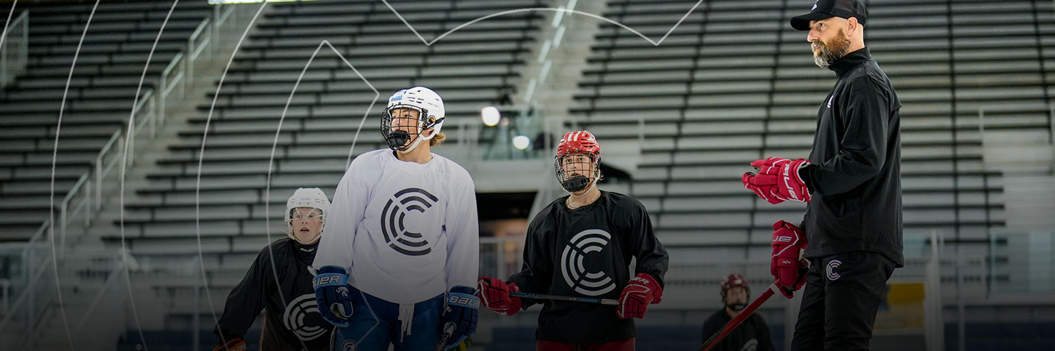 The Coaches Site's banner