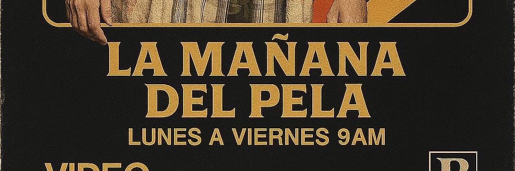 PELAVISIÓN's banner