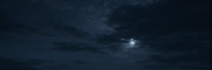 Ximena Alexandra's banner