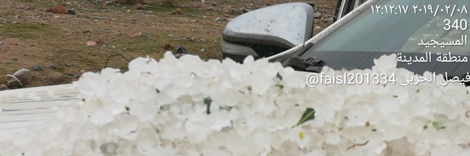فيصل الحربي's banner