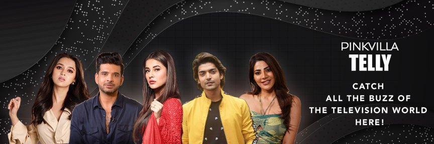 Pinkvilla Telly's banner