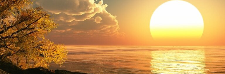 صالح بن مليح's banner