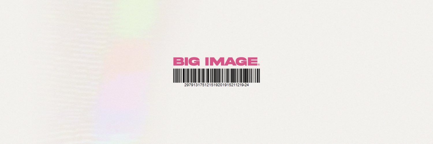 BIG IMAGE's banner
