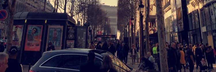 ماجد|Majed's banner