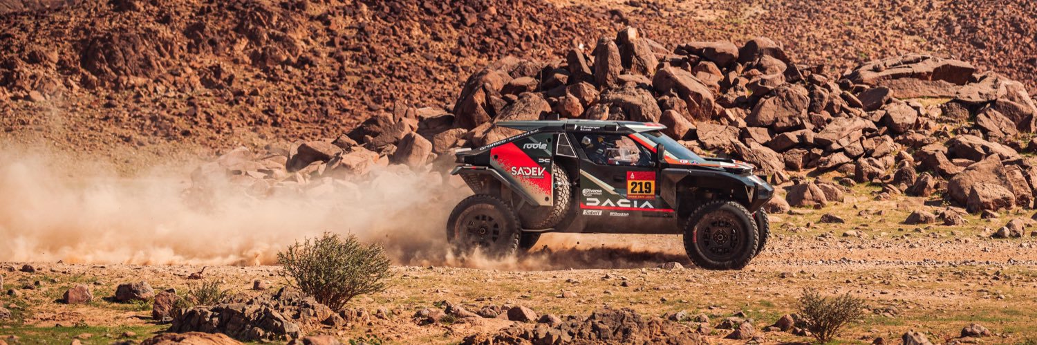 Sébastien Loeb's banner