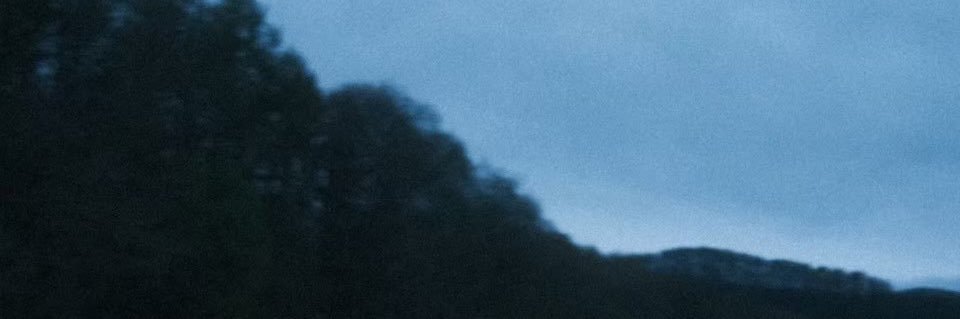 畳野彩加's banner