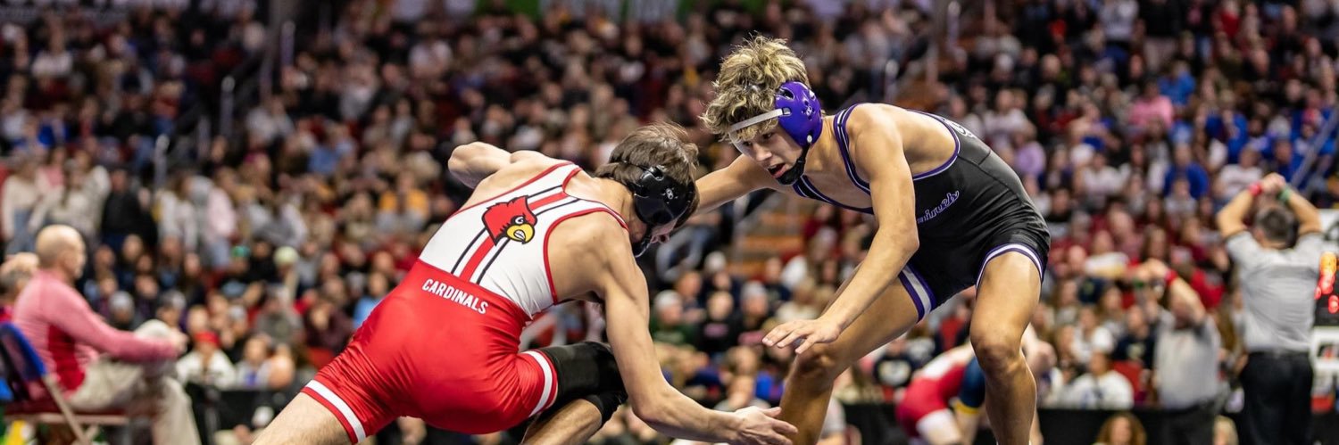 IAwrestle's banner