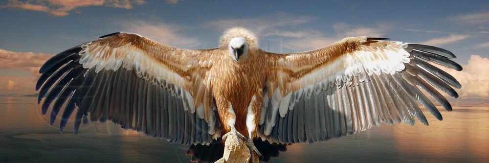 ПАТЕР ΤΟΥΜΠΑΝΟ ПАРАНОИКОС Official®️'s banner