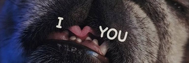 Морозна блонда's banner