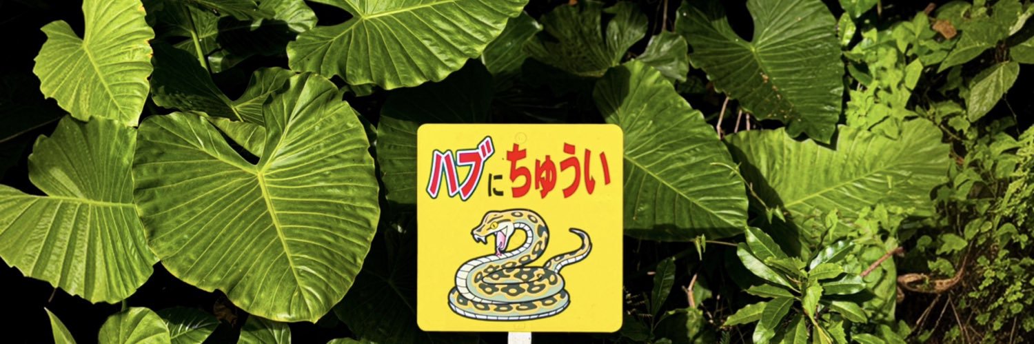 𝙏𝘢𝙎𝘶𝘬𝙐's banner