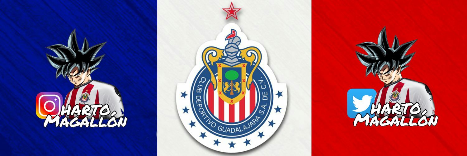Harto Magallón's banner