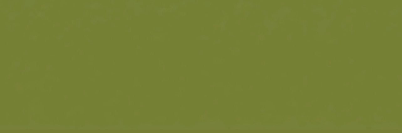 21 🇯🇲's banner