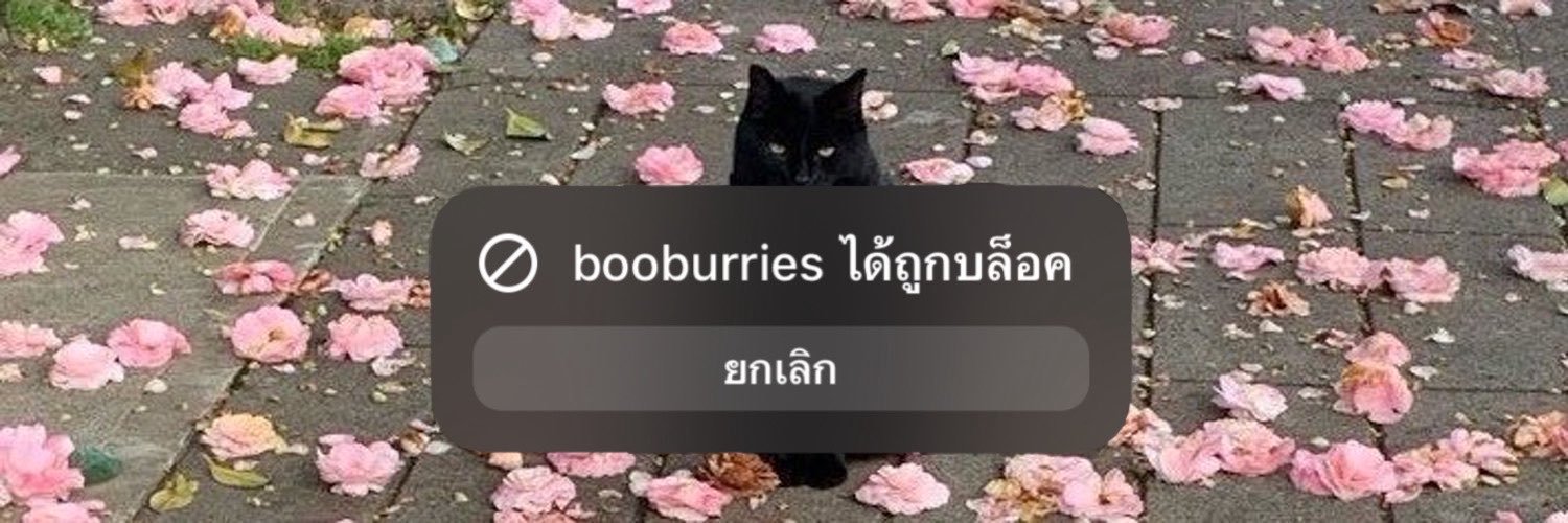 เอชชึ's banner
