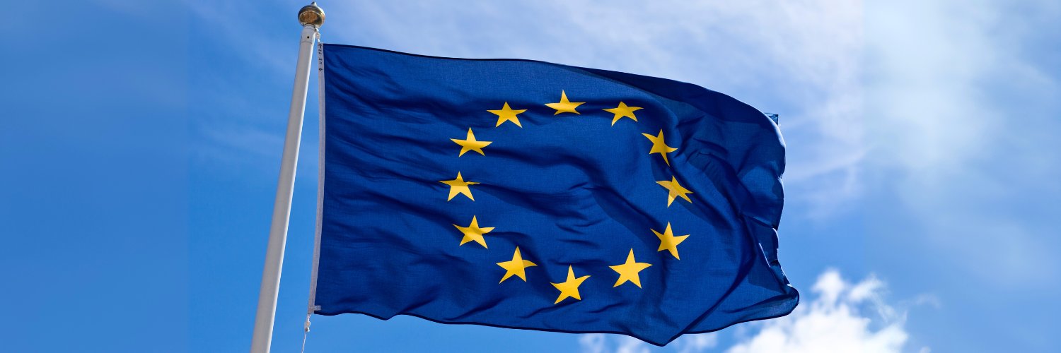 European Movement's banner