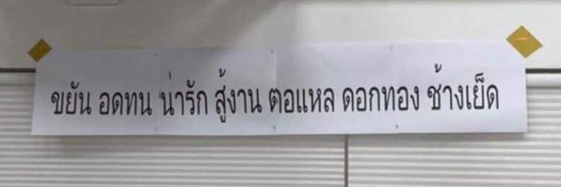 หลอน's banner