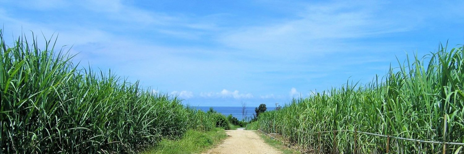 読谷村観光協会(kiroroの出身地)@沖縄県's banner