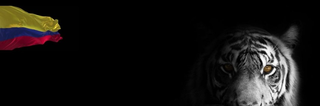 tatooinelegrand's banner