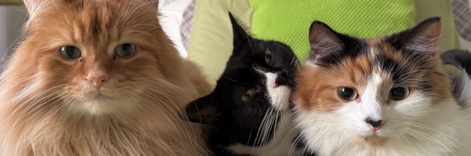 The Oreo Cat's banner