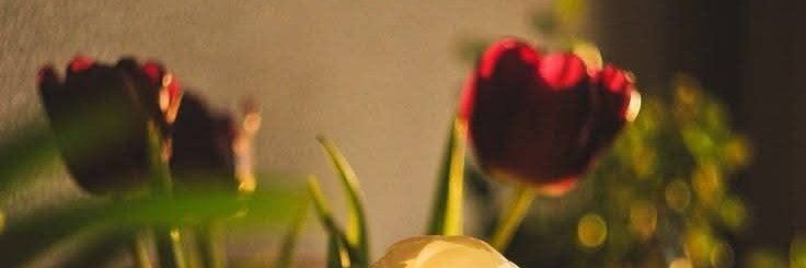 .สาวใหญ่ไฟแรง🔥's banner