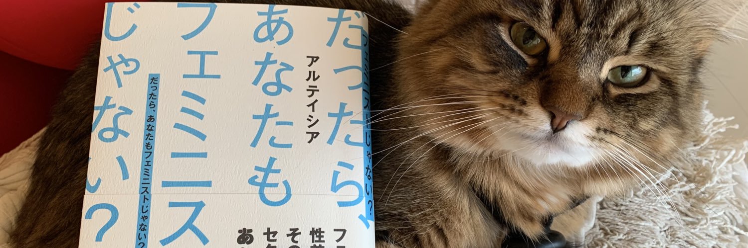 アルテイシア(作家) 『だったら、あなたもフェミニストじゃない？』's banner
