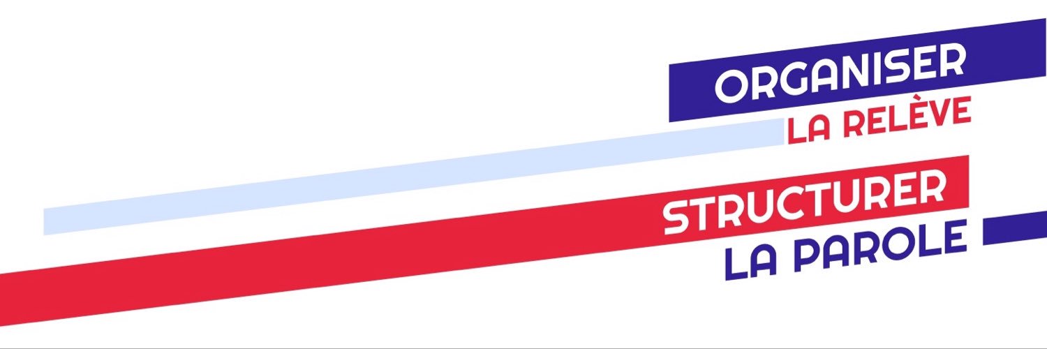 Dr. Stéphane Vincent's banner