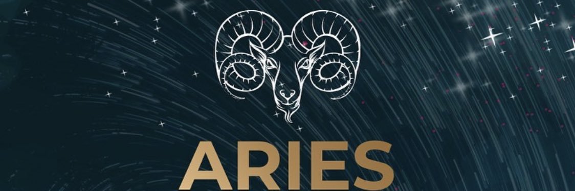 karma_is_a_cat's banner