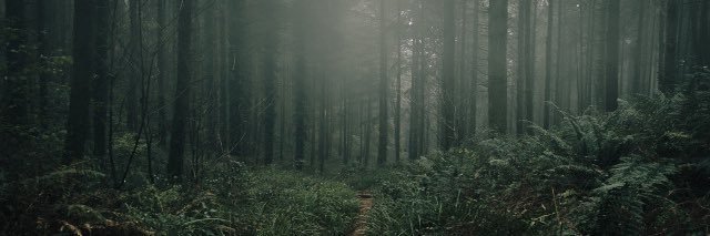 Prol_x's banner