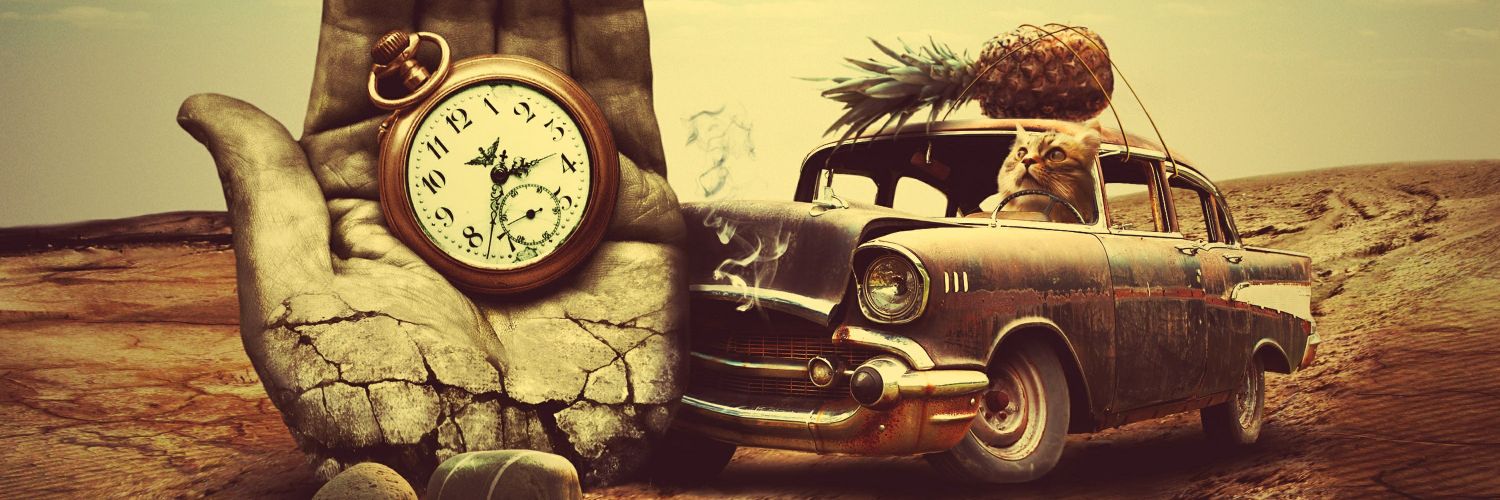 Ежевикина 🪧's banner