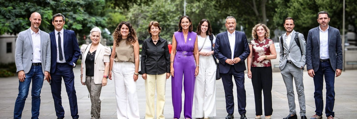 PSOE en Ayto Madrid's banner