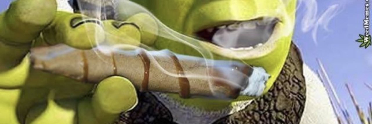 ⋆˚✿˖°'s banner