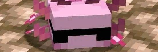 MauThunder 🚀✨'s banner