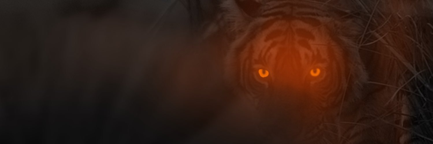 Kolt Peavey's banner