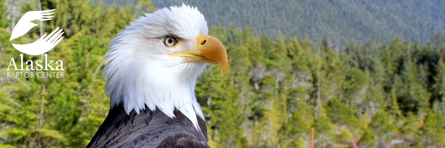 Alaska Raptor Center's banner