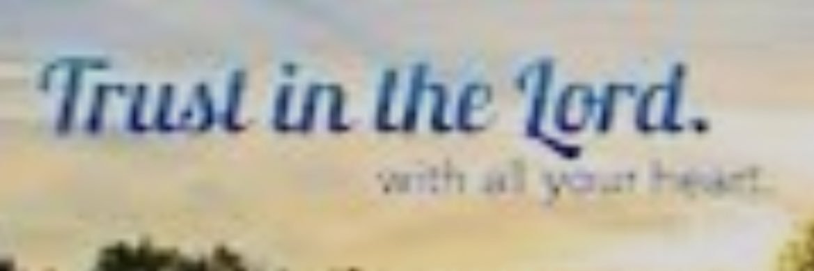 Johnny Ray's banner