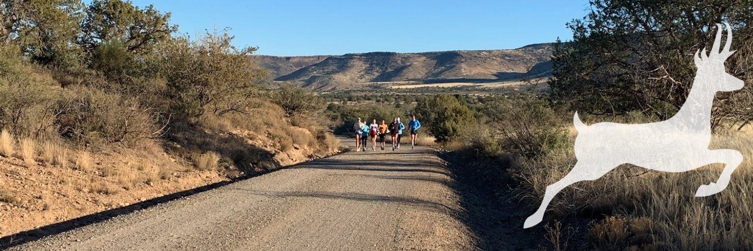 HOKA NAZ Elite's banner