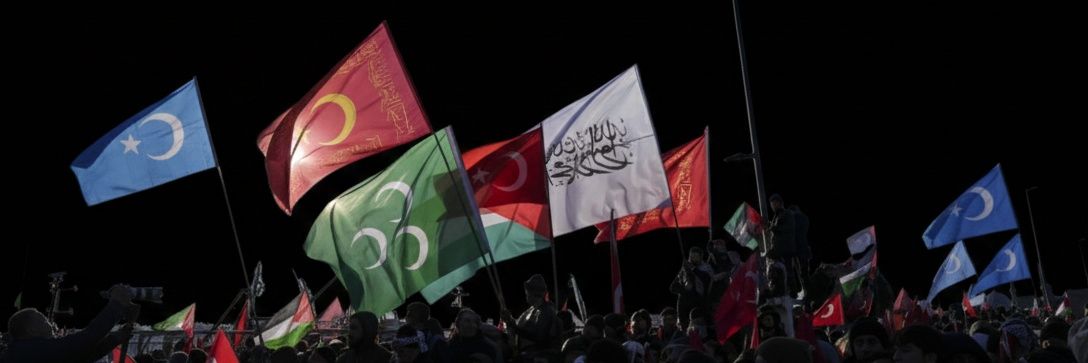 Politikalojik ☪︎'s banner